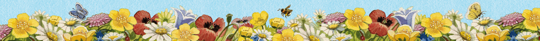 Abschlussbanner Blumenwiese