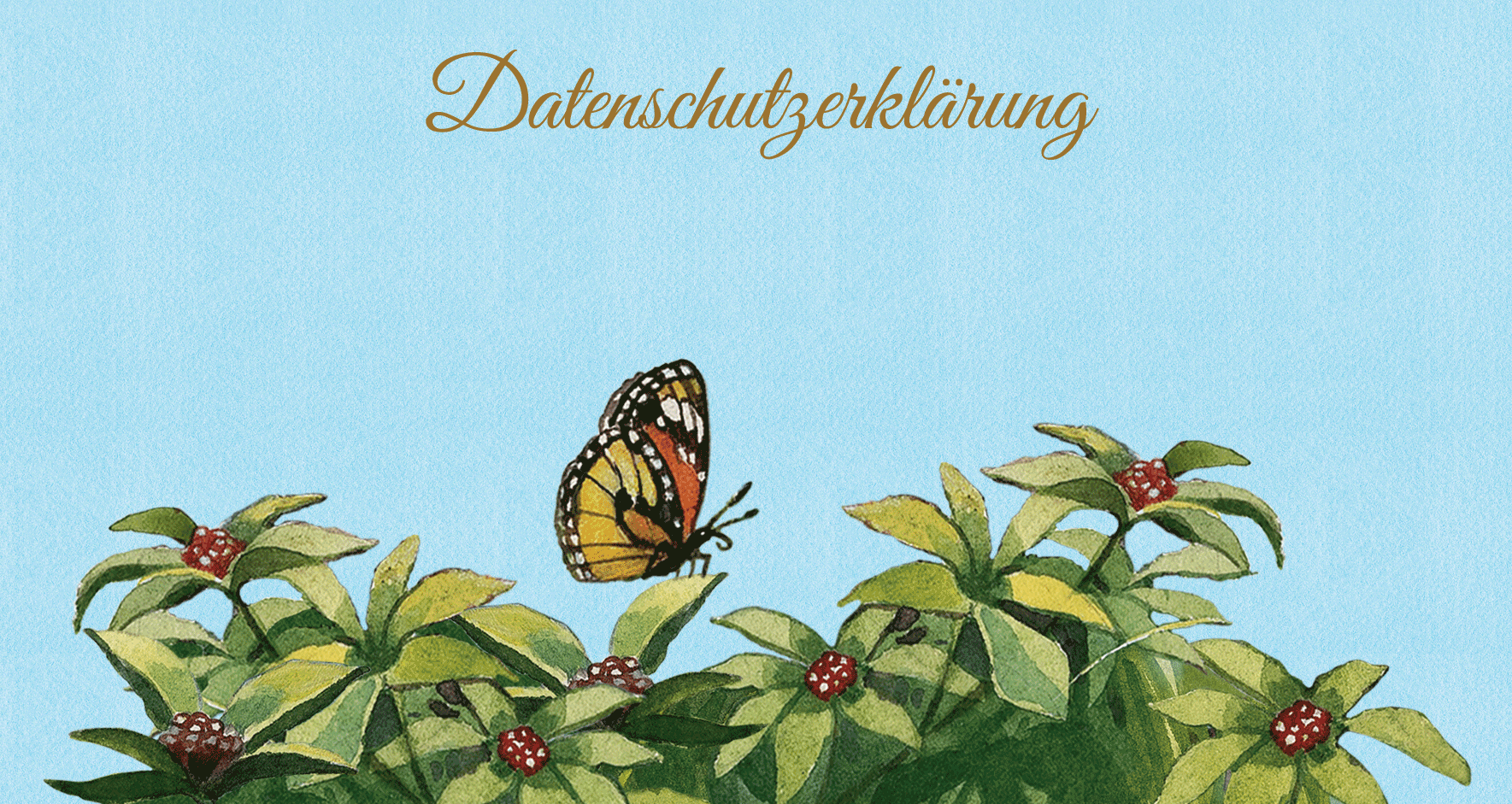 Bild Datenschutzerklärung